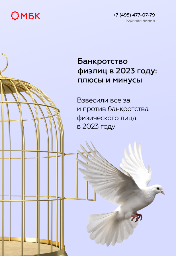 Банкротство физлиц в 2023 году: плюсы и минусы