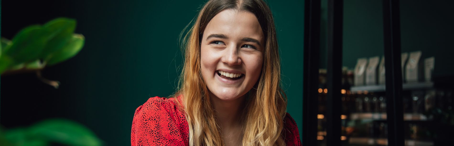 Займ на карту без дохода без справок