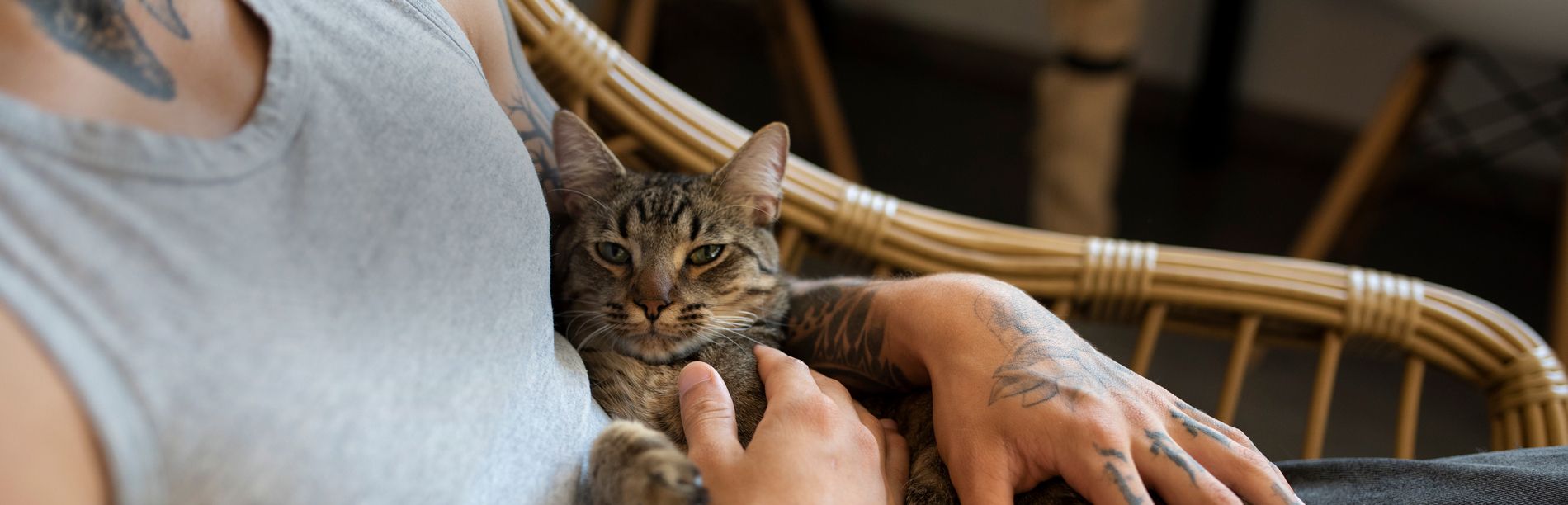 Рефинансирование кредита под залог имущества