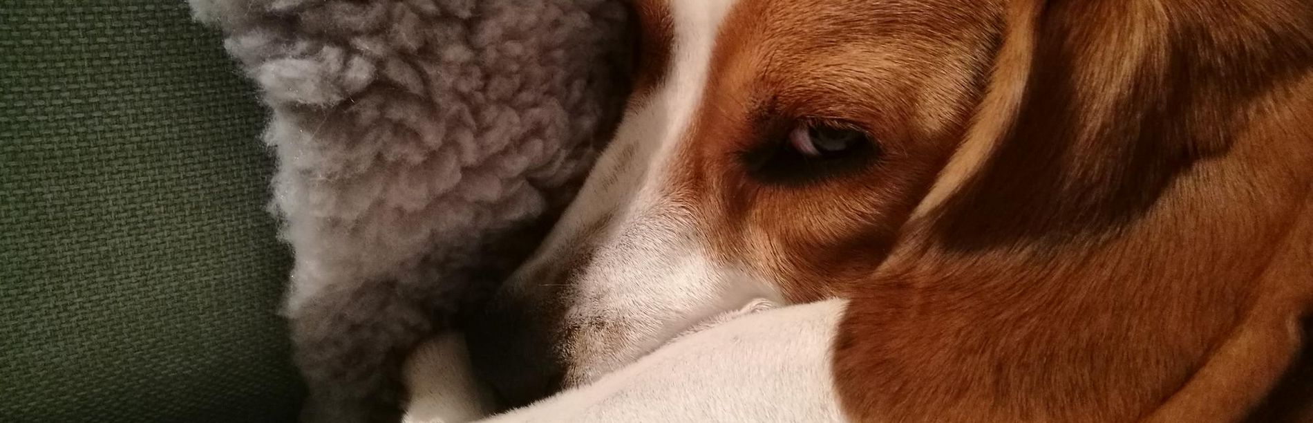 Рефинансирование кредита без справок о доходах