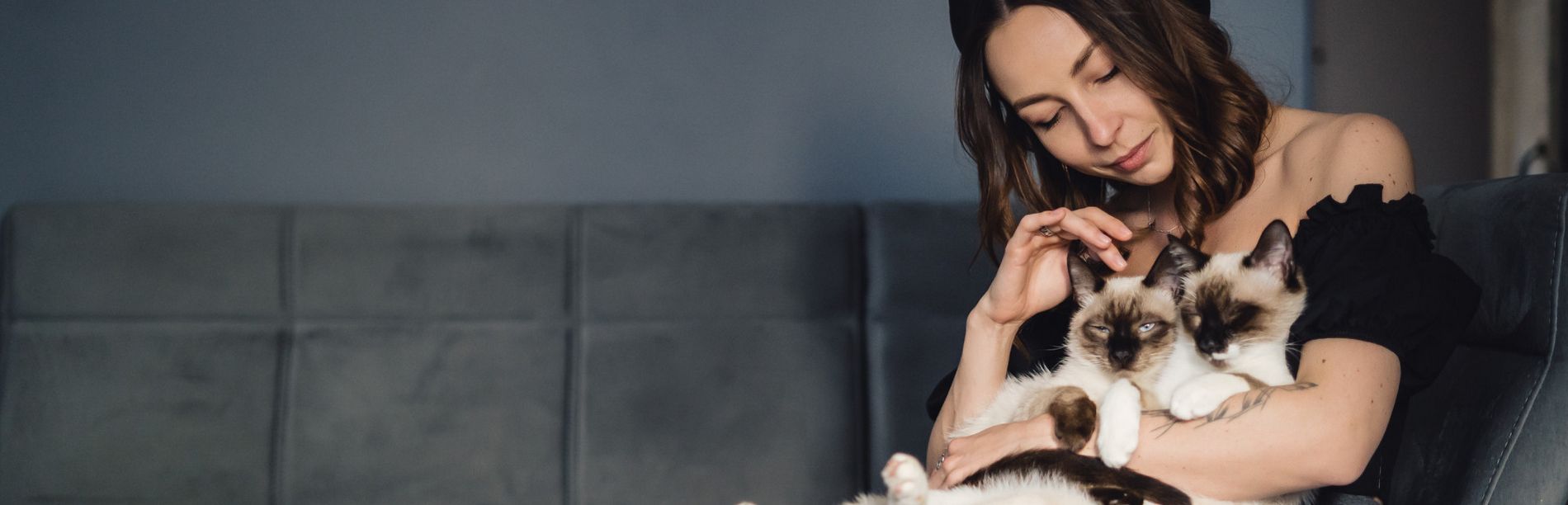 Рефинансирование кредитов без подтверждения доходов онлайн